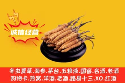南宁回收冬虫夏草